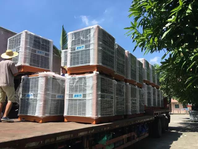 工廠車間快速降溫方法，你知道嗎？