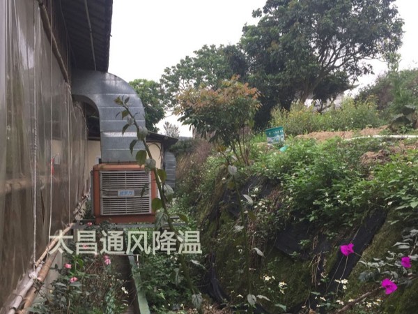 餐廳太熱？環(huán)?？照{(diào)為你送清風(fēng)