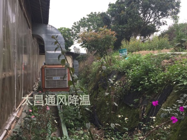 天氣太熱?環(huán)?？照{(diào)為你的餐廳守護清涼